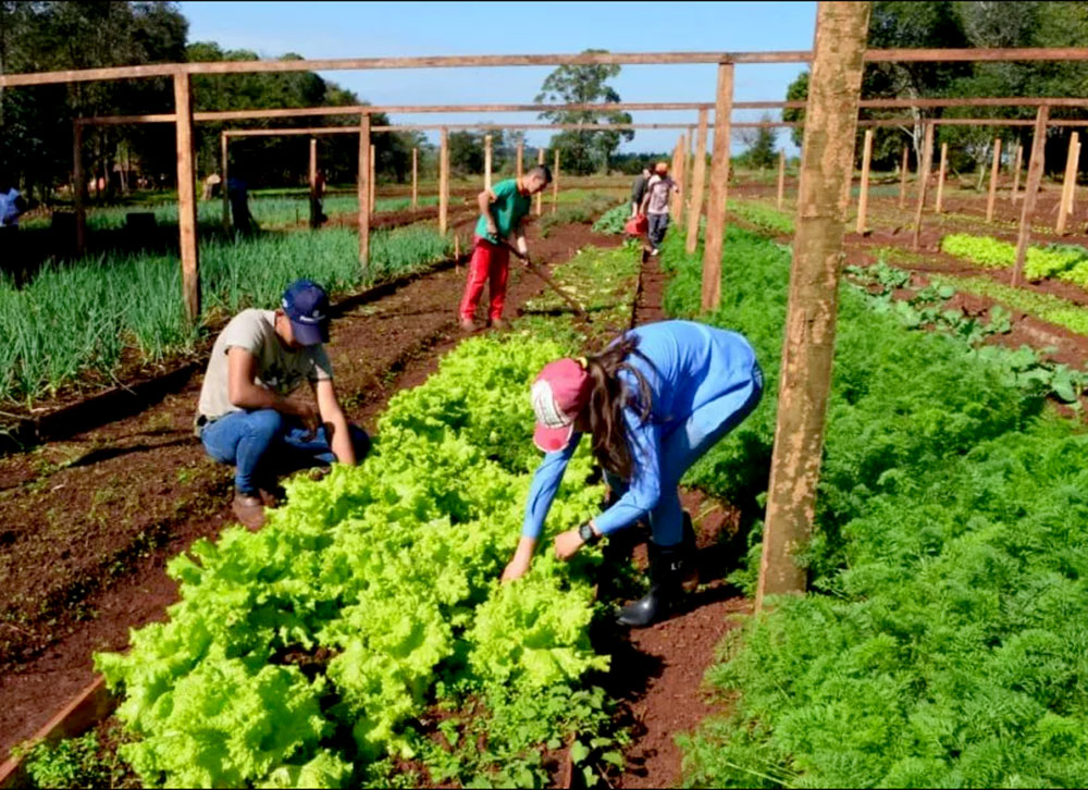 Formar el Futuro de la Tierra: La Misión Transformadora de las Escuelas Agrarias