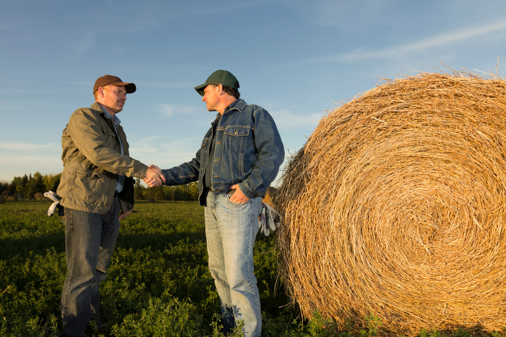 Los emprendedores que buscan en el sector del campo su futuro